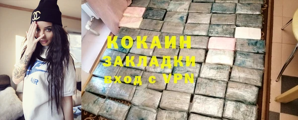 индика Аркадак