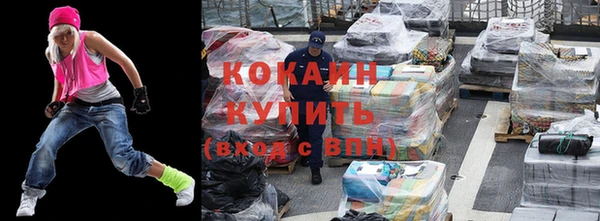 индика Аркадак